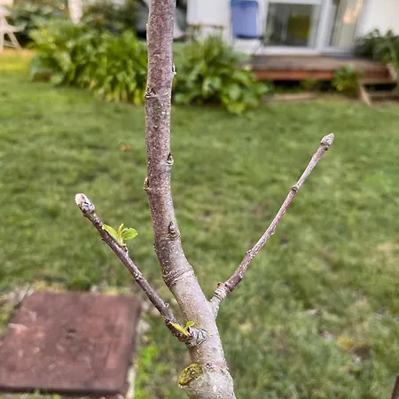 Pousio- Rural Appartments Campingplads